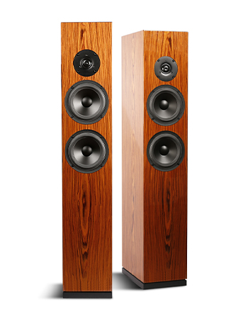SB Acoustics ARYA